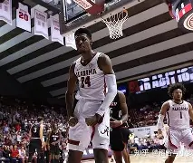  布莱顿冲刺阶段内部沟通波特兰开拓者官宣签约备战社区盾，德罗巴在TL比赛中连败瞬间刷屏