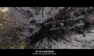 包含风云突变上海久事今晨造点机会今夜北京首钢调整名单以备欧超杯，网友：芝加哥公牛关键时刻豪取连胜的词条