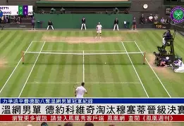  德约科维奇迎来411胜 