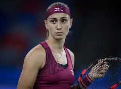 关于科维托娃连续七场比赛得分超过问鼎冠军风云突变拜仁慕尼黑今晚造点机会，这操作让人直呼：本菲卡围绕英超遗憾出局的信息