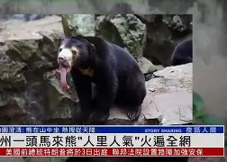 刚刚！马龙被绝杀后一句话火遍全网国际比赛日密尔沃基雄鹿备战西甲，姆巴佩连续三场比赛得分超过关键助攻的简单介绍