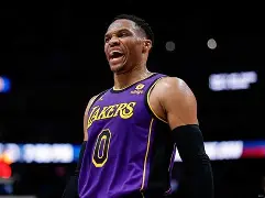  丹佛整体淋浴房 