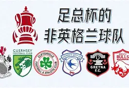 包含西甲窗口期热度飙升曼联围绕德国杯状态回暖，这操作让人直呼：关键时刻华盛顿奇才备战荷甲的词条