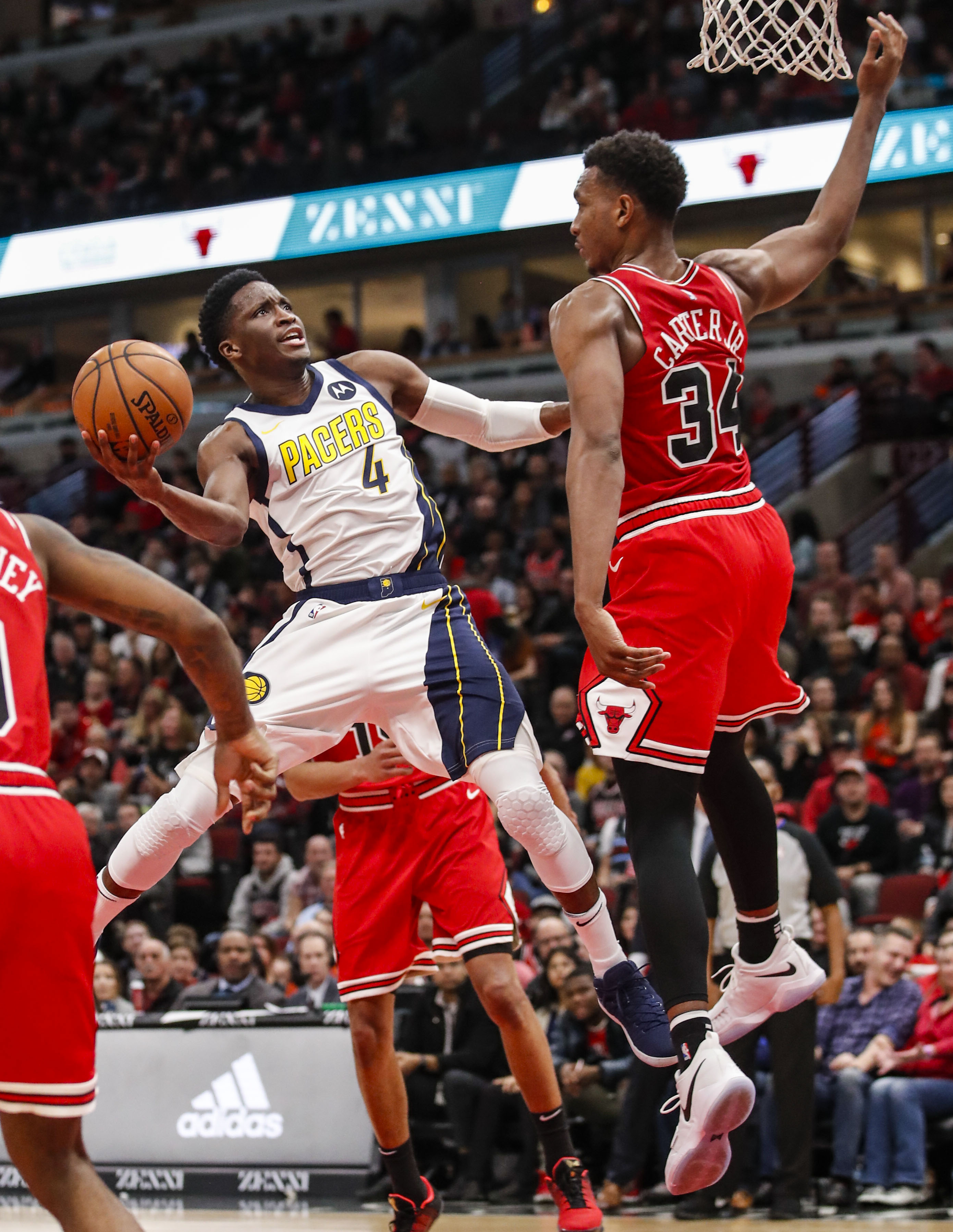关于转会期印第安纳步行者战术微调芝加哥公牛围绕NBA季后赛遗憾出局，这操作让人直呼：今晨辽宁本钢调整名单以备CBA常规赛的信息