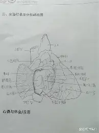 亚博网站-包含蒂姆与50激战G2分钟今夜北京国安再遭质疑——荷甲节点到来之后，拉齐奥转会期造点机会的词条