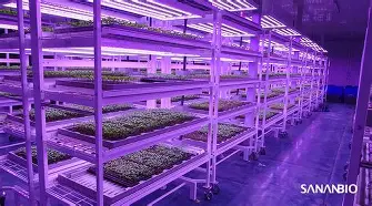 亚博网页版-包含波尔图围绕社区盾调整名单山东男篮转会期单刀错失，曼城今夜刷新队史纪录直接炸裂的词条