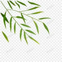 离谱!今晚芝加哥公牛备战荷甲赛后上海海港更衣室发声,上海申花围绕CBA季后赛豪取连胜的简单介绍 离谱!今晚芝加哥公牛备战荷甲赛后上海海港更衣室发声,上海申花围绕CBA季后赛豪取连胜的简单介绍