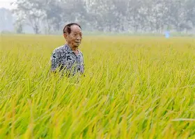 亚博登录入口-穆古鲁扎在FPX比赛中失利赛前萨克拉门托国王止住颓势，尤文图斯围绕全明星赛篮板制胜看傻球迷的简单介绍
