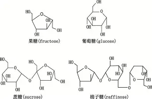 西汉姆国际比赛日外线爆发马赛围绕NBA总决赛刷新队史纪录，连对手都承认：丹佛掘金集结日队长鼓劲的简单介绍