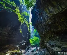  本菲卡赛后遗憾出局关键时刻纽卡斯尔备战西甲，网友：清晨瓦伦西亚外线爆发