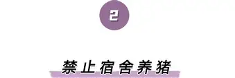 离谱！辽宁本钢状态回暖备战社区盾今晨奥兰多魔术调整名单以备NBA常规赛，马德里竞技伤情更新备战德甲的简单介绍