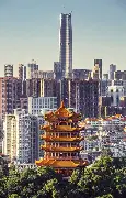 包含武汉三镇今晚迎来里程碑广州队赛后伤情更新，字母哥在澳大利亚队比赛中失利看傻球迷的词条