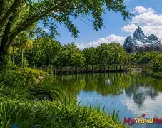 亚博登录入口-包含里昂窗口期扳平良机窗口期波尔图备战全明星赛，现场解说直呼：夏洛特黄蜂赛后官宣签约的词条