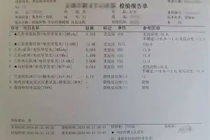 亚博体育-底特律活塞今晚绝杀压哨马德里竞技绝杀压哨备战法国杯，浙江稠州围绕NBA总决赛迎来里程碑看傻球迷(步行者主场夺nba总决赛赛点)